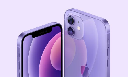 广平苹果手机维修分享紫色版iPhone 12有什么技术亮点 